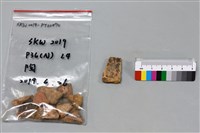 陶片藏品圖，第1張