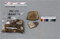 陶片藏品圖，第1張