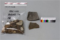 陶片藏品圖，第2張