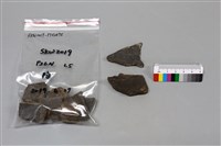 陶片藏品圖，第2張