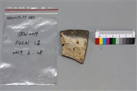 陶片藏品圖，第1張