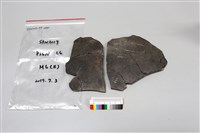 陶片藏品圖，第1張