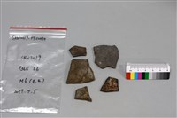 陶片藏品圖，第2張