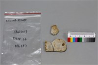 陶片藏品圖，第2張