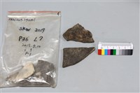 陶片藏品圖，第2張