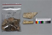 陶片藏品圖，第1張