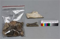 陶片藏品圖，第2張