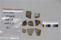 陶片藏品圖，第2張