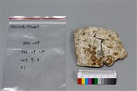 陶片藏品圖，第1張