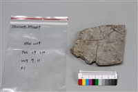 陶片藏品圖，第2張