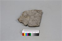 陶片藏品圖，第4張