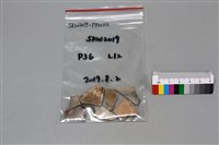 陶片藏品圖，第1張