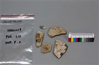 陶片藏品圖，第1張