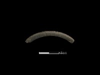 石環藏品圖，第1張