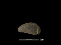 網墜藏品圖，第2張