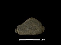 網墜藏品圖，第1張