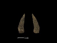 石片藏品圖，第1張