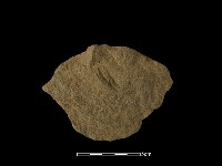 石片器藏品圖，第2張