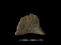 陶片藏品圖，第2張