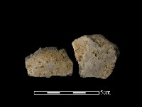 陶片藏品圖，第1張