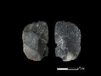 錛鑿形器藏品圖，第1張