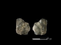 錛鑿形器藏品圖，第1張