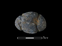 網墜藏品圖，第2張