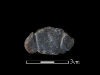 網墜藏品圖，第1張