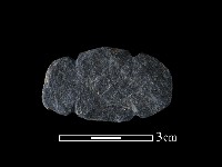 網墜藏品圖，第2張