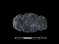 網墜藏品圖，第1張