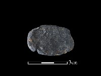 網墜藏品圖，第2張