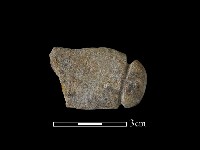 網墜藏品圖，第2張