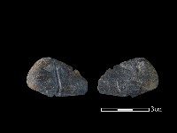 網墜藏品圖，第1張