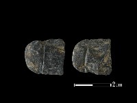 網墜藏品圖，第1張