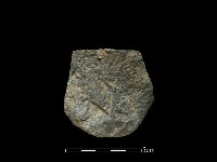 斧鋤形器藏品圖，第1張