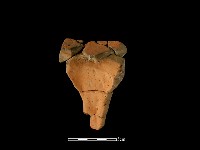 豆形器藏品圖，第2張