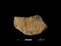 陶片藏品圖，第1張