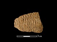 陶片藏品圖，第1張