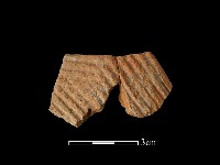 陶片藏品圖，第1張