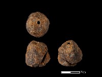 紡輪藏品圖，第1張