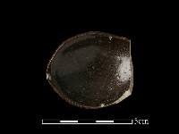 湯匙藏品圖，第2張