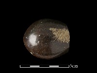 湯匙藏品圖，第3張