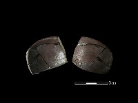 湯匙藏品圖，第1張