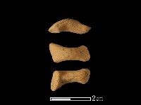 陶把藏品圖，第1張