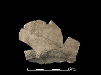 陶壺藏品圖，第1張