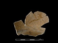 陶壺藏品圖，第2張