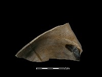 硬陶片藏品圖，第2張