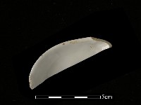 湯匙藏品圖，第2張