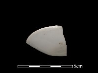 湯匙藏品圖，第2張