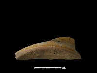 陶片藏品圖，第3張